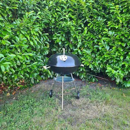 Haus Fischer アパート *